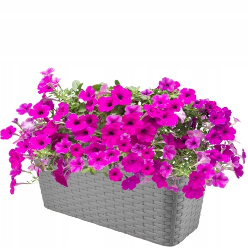 DONICZKA SKRZYNKA BALKONOWA RATTAN 40cm SZARA