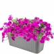 DONICZKA SKRZYNKA BALKONOWA RATTAN 40cm SZARA
