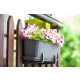 DONICZKA SKRZYNKA BALKONOWA RATTAN 60cm GRAFIT