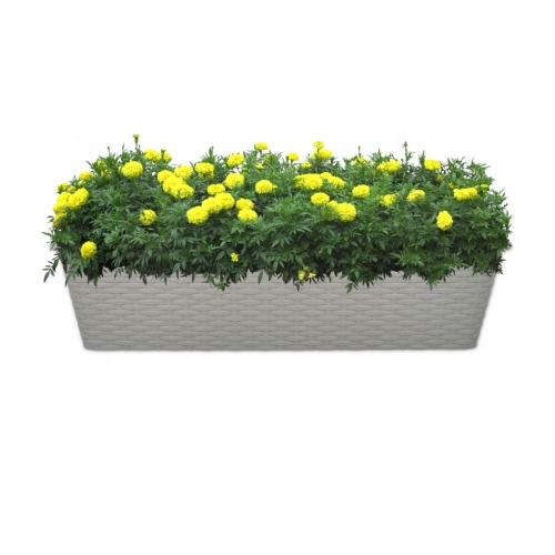 DONICZKA SKRZYNKA BALKONOWA RATTAN 60cm SZARA