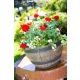 DONICA BARREL BECZKA GALICJA 33cm 8970 CIEMNY BRĄZ