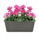 DONICZKA BALKONOWA PODSTAWKA UCHWYTY ZESTAW RATTAN 40cm antracyt