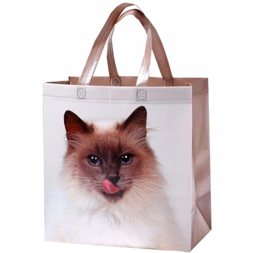 TORBA NA ZAKUPY RPET 32x34x17cm KOT