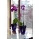 OSŁONKA NA STORCZYKA VERDENIA 12cm 5025 transparent