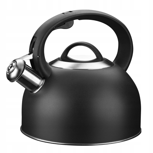 CZAJNIK NIERDZEWNY AYDEN 2,2l 35235 czarny