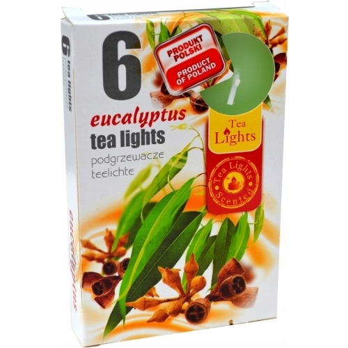 ŚWIECA PARAFINOWA TEALIGHTS PODGRZEWACZ ADMIT EUCALYPTUS 6szt
