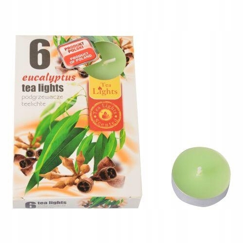 ŚWIECA PARAFINOWA TEALIGHTS PODGRZEWACZ ADMIT EUCALYPTUS 6szt