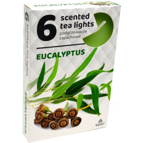 ŚWIECA PARAFINOWA TEALIGHTS PODGRZEWACZ ADMIT EUCALYPTUS 6szt