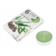 ŚWIECA PARAFINOWA TEALIGHTS PODGRZEWACZ ADMIT EUCALYPTUS 6szt