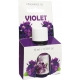 OLEJEK ZAPACHOWY VIOLET ADMIT 10ml